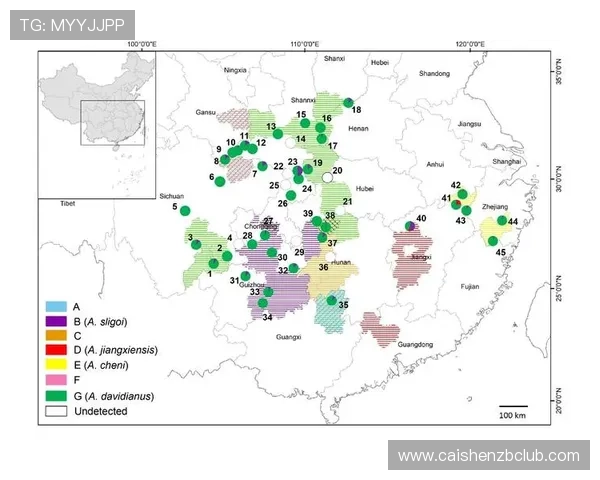 分析十一选五历史开奖数据，揭示规律与投注策略的潜在价值