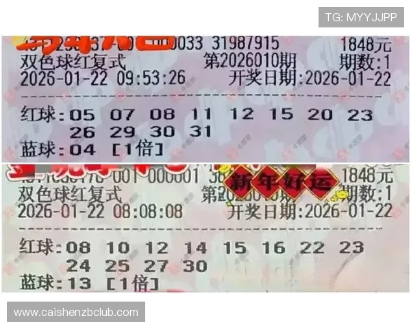 彩票投注技巧揭秘：哪种玩法中奖概率更高更稳定