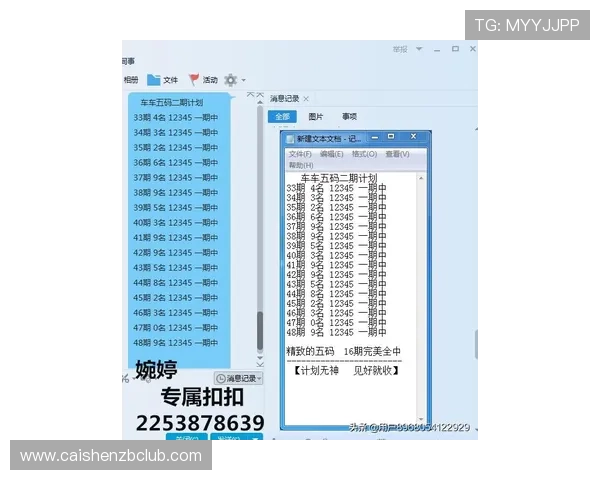 十一选五玩法全解析技巧与投注技巧详解助你稳定获胜