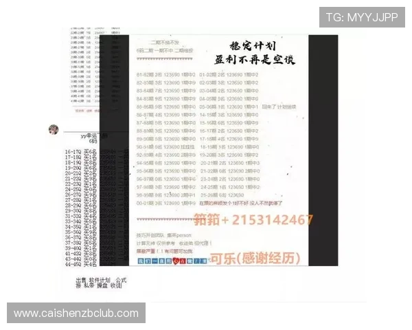 官方飞艇玩法全解析及实用技巧提升中奖率指南