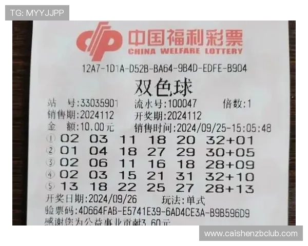精准选号技巧解析，助你提升彩票中奖概率的实用指南